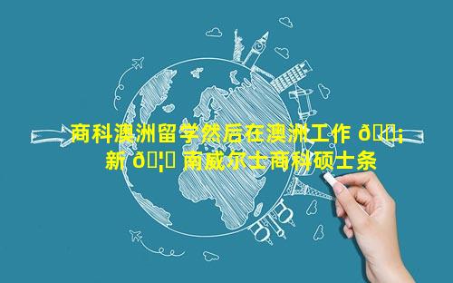 商科澳洲留学然后在澳洲工作 🐡  新 🦁 南威尔士商科硕士条件